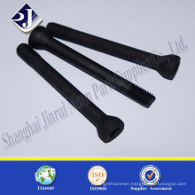 high quality non standard special screws black